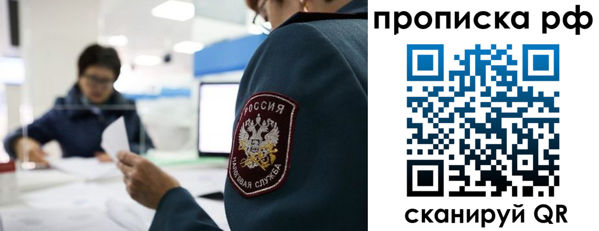 прописка паспорт в Шебекино